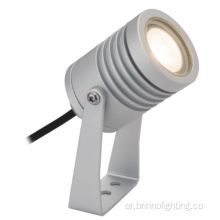 8W SPOT SPOT LIGHT لغسل الجدار في الهواء الطلق